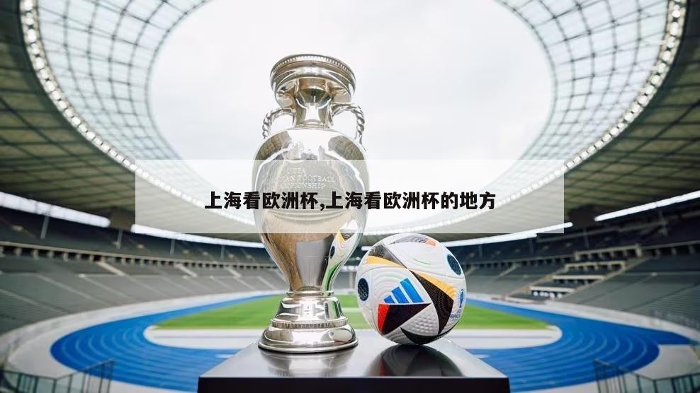 上海看欧洲杯,上海看欧洲杯的地方