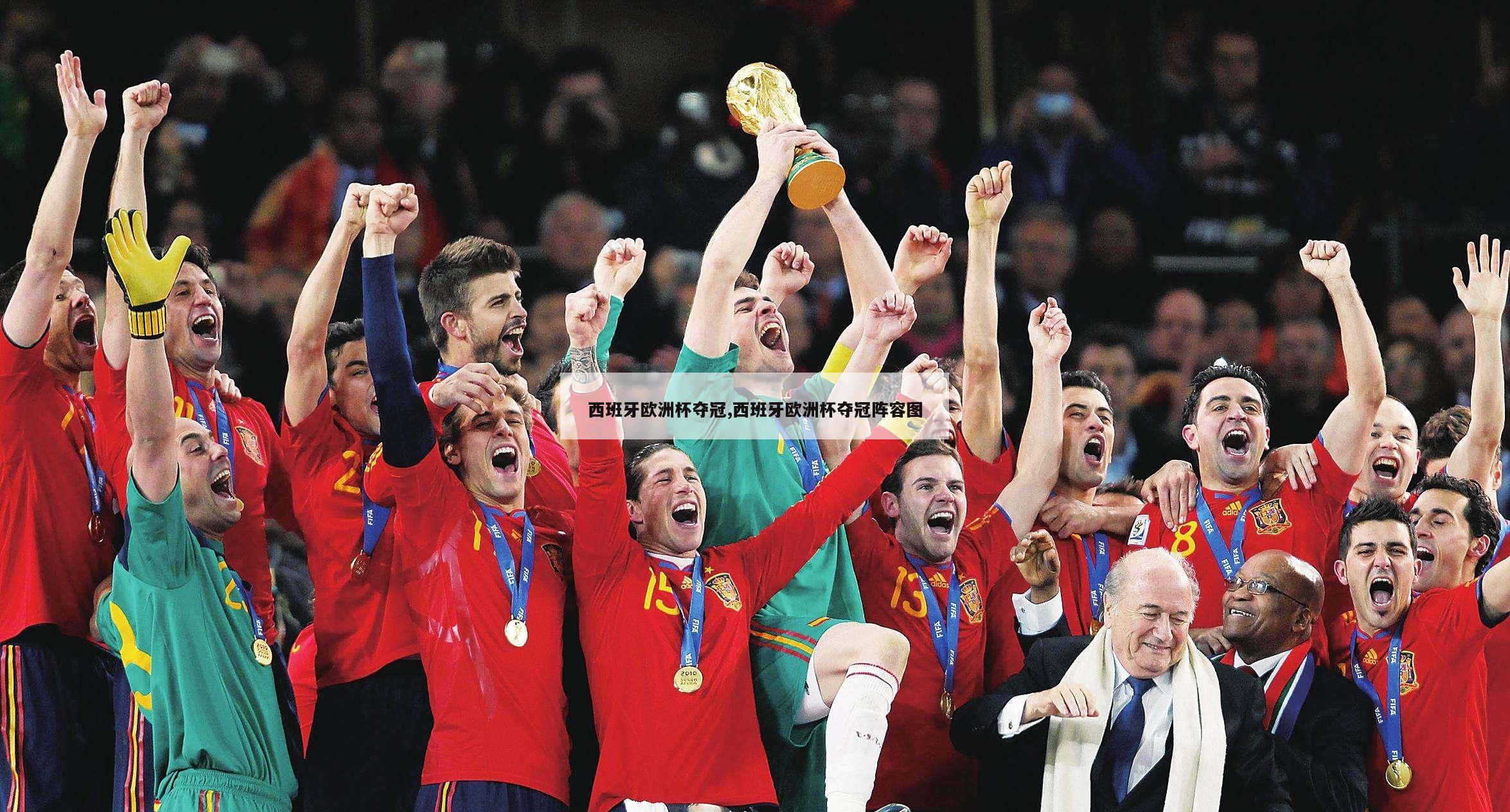 西班牙欧洲杯夺冠,西班牙欧洲杯夺冠阵容图